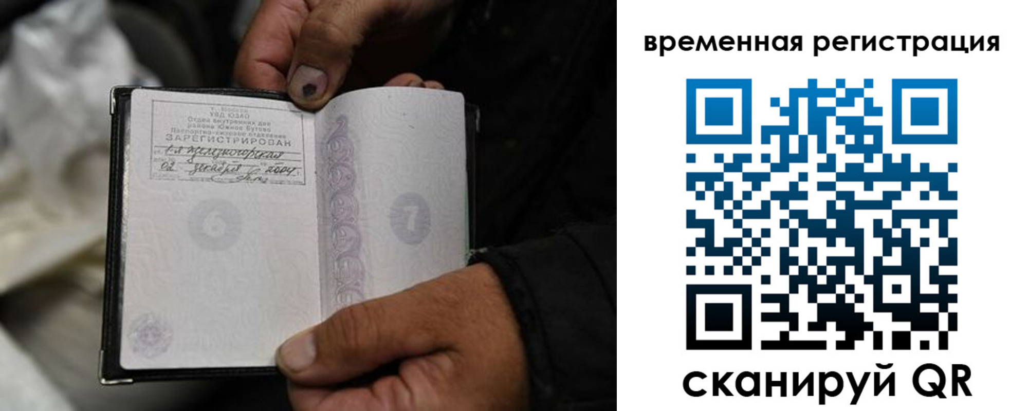 прописка поиск в Дубовке